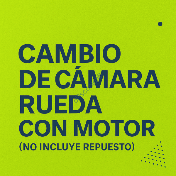 Cambio de cámara rueda con motor (no incluye repuesto)