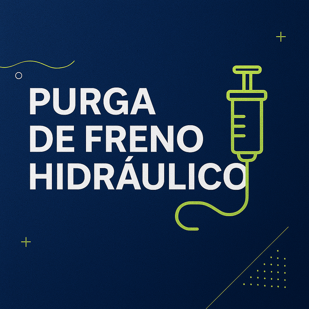 file_00000000f85861f885f9e3cf5d8bc446 Purga de freno hidráulico c/u - Imagen 1